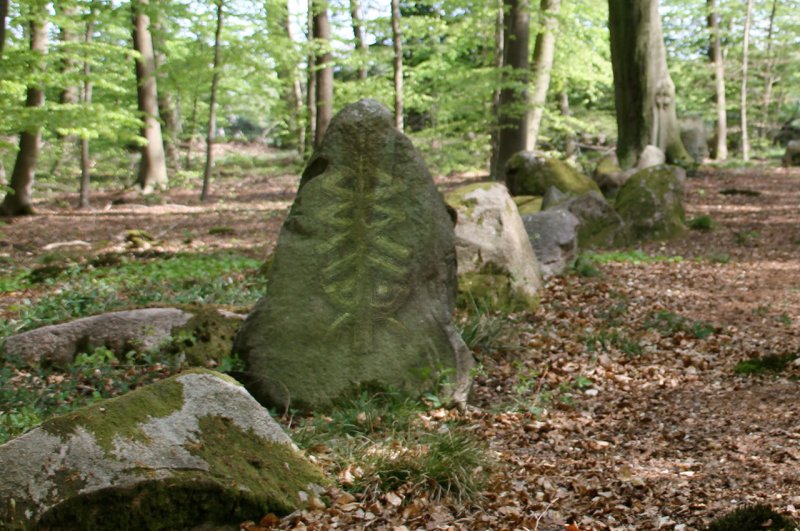 Runen gehören nicht den Nazis